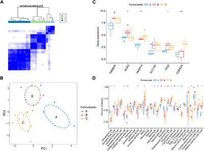 Identification of biomarkers associated with ferroptosis in diabetic retinopathy based on WGCNA and machine learning